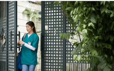 Cast Iron, Stainless Steel or Aluminum? How to Choose the Best Material for Gates and Fences